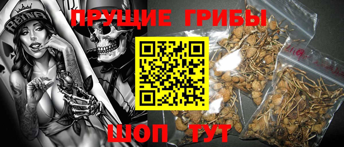 Псилоцибиновые грибы Magic Shrooms  Вход с VPN  Псилоцибиновые грибы Psilocybine cubensis  Россошь 