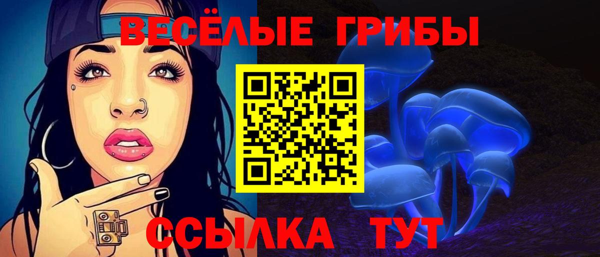 Псилоцибиновые грибы Psilocybe Россошь